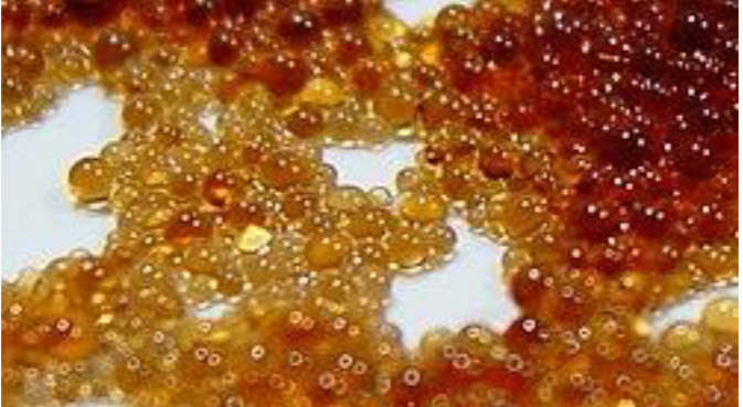 Ion exchange resin